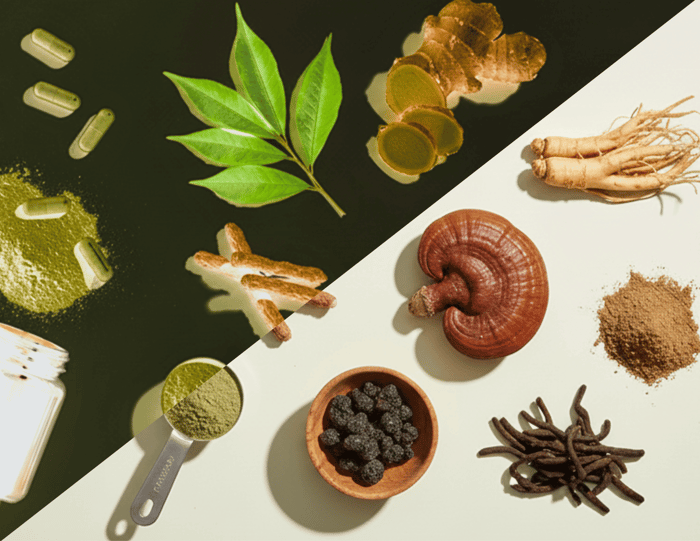 An Adaptogen Guide to Herbs, Mushrooms, Kava, and Kratom