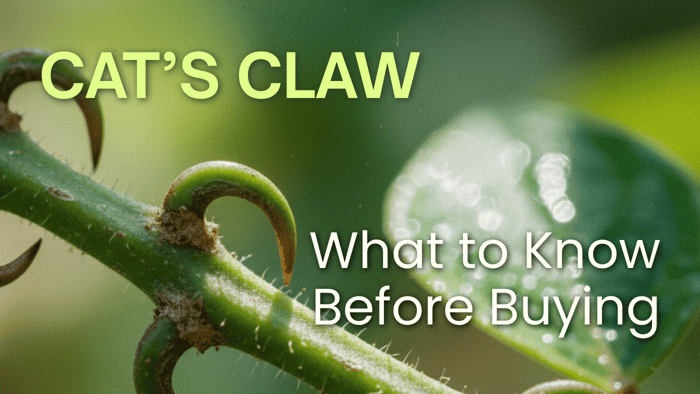 Cat’s Claw Guide — Effects, Safety, Dosage & Buying Tips