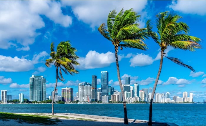 Best Places To Buy Kratom In Miami