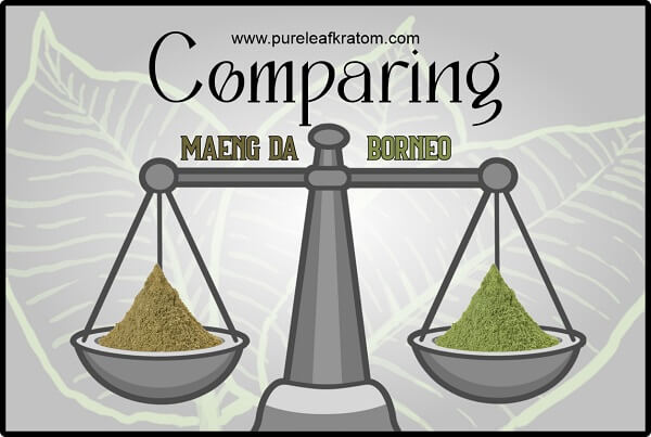 Comparing Maeng Da Vs. Borneo - Which Strain Should I Use?
