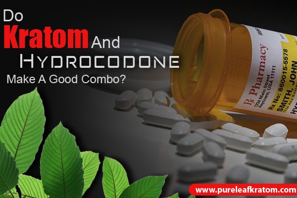 Do Kratom and Hydrocodone Make a Good Combo?