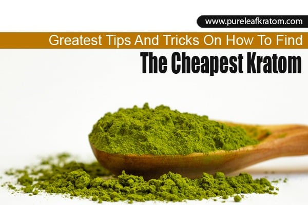 Greatest Tips and Tricks on How to Find The Cheapest Kratom