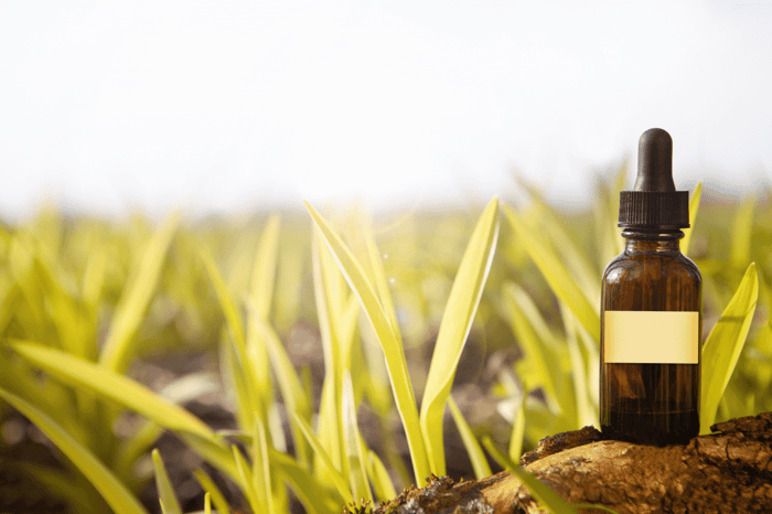 How to Make Kratom Extract?