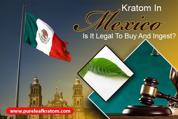Kratom in Mexico: Is It Legal to Buy and Ingest?