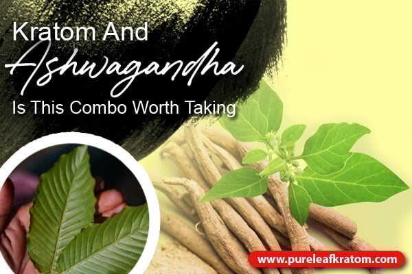 Kratom and Ashwagandha: Is This Combo Worth Taking?