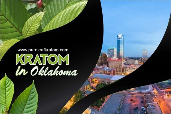 How To Find The Best Quality Kratom In Oklahoma?