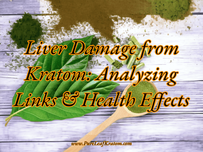 Unraveling the Truth: Kratom and its Impact on Liver Health, Understanding Liver Damage