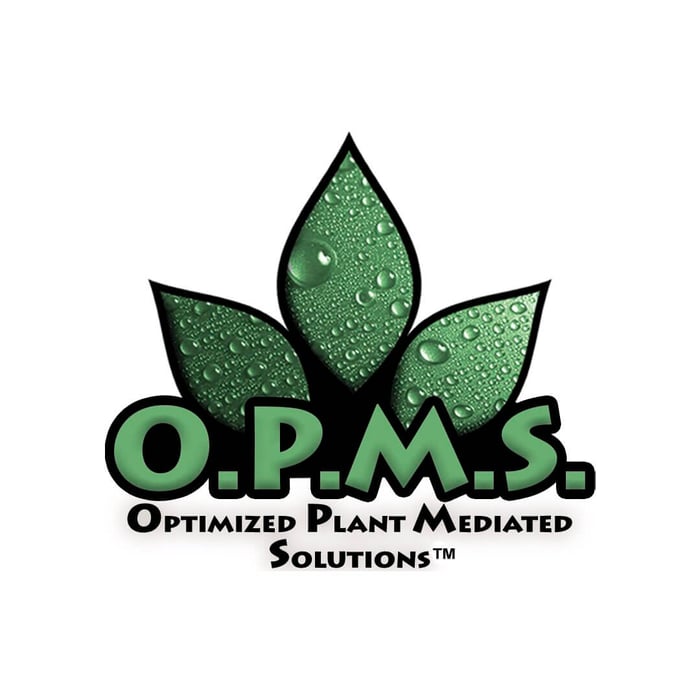 Review of OPMS Kratom (Optimized Plant Mediated Solutions)