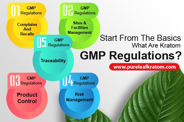 Start From The Basics-What Are Kratom GMP Regulations?