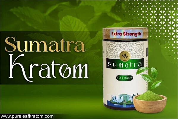 Sumatra Kratom Review: What Sets this Strain Apart?