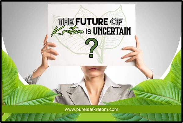 Kratom Bans And Strict Laws: The Future Of Kratom Is Uncertain