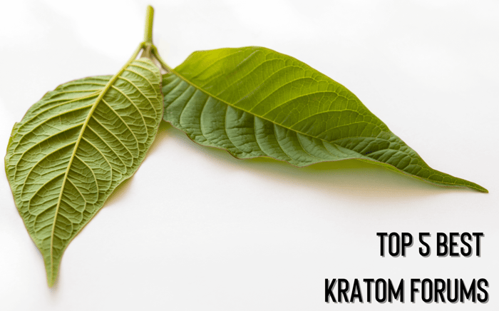 Top 5 Best Kratom Forums