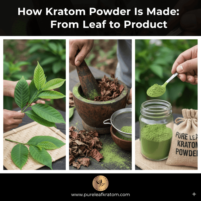 How Kratom Powder Is Made: From Leaf to Product