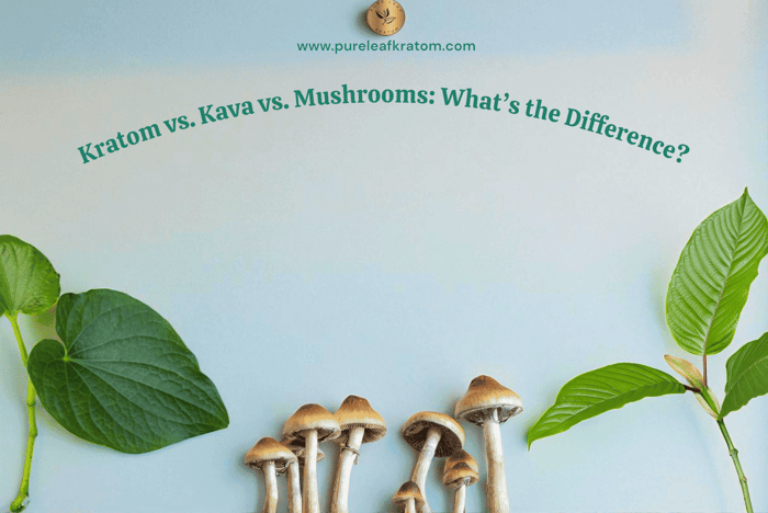 Kratom vs. Kava vs. Mushrooms: What’s the Difference?