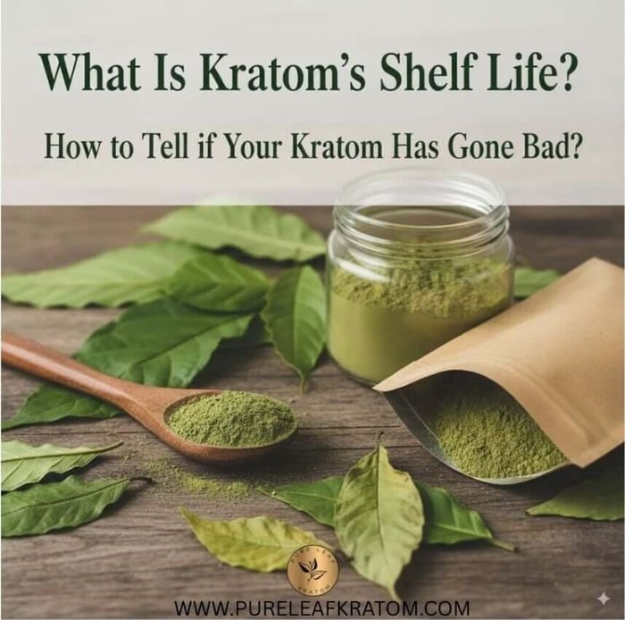 What Is Kratom’s Shelf Life? How to Tell if Your Kratom Has Gone Bad