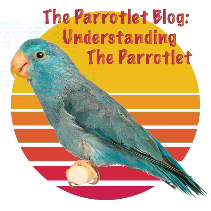 The Parrotlet Blog: Understanding the Parrotlet