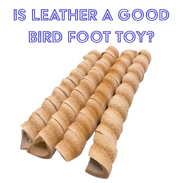 Is leather a good bird foot toy?