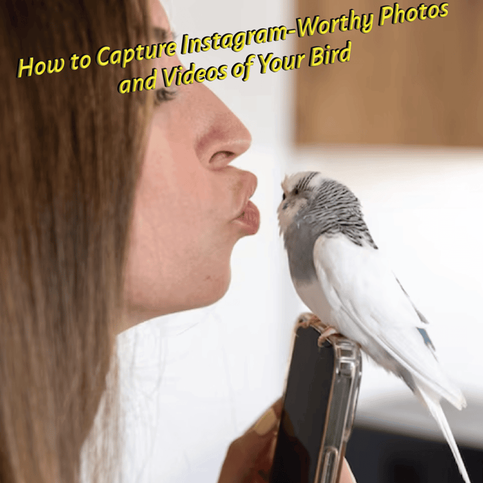 How to Capture Instagram-Worthy Photos and Videos of Your Bird