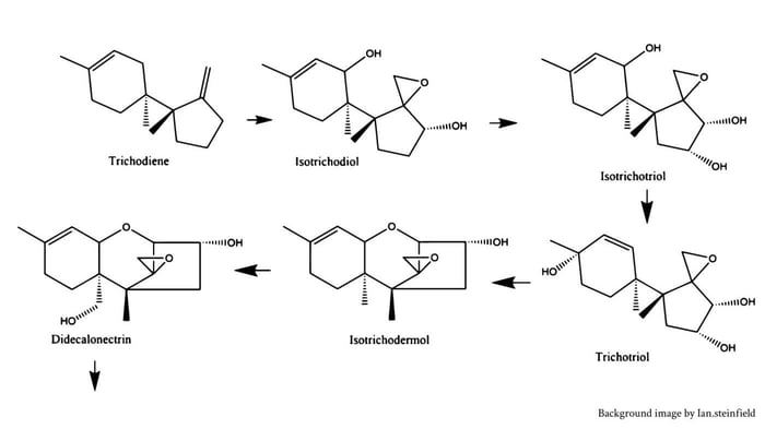 Mycotoxins - Thursday Fun Fact - 10/20