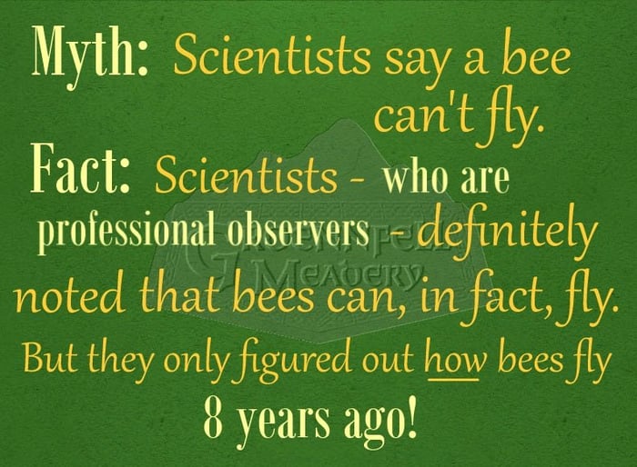 Thursday Fun Fact 5-2: How the Bee Flies