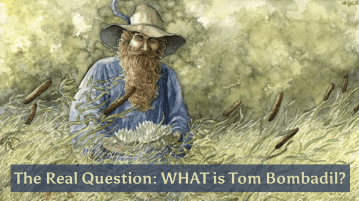 The Real Question: WHAT is Tom Bombadil?