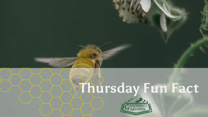 Thursday Fun Fact 1-12: 151 Miles