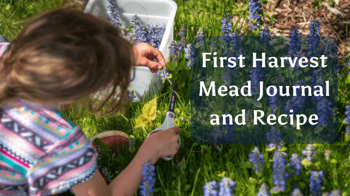 First Harvest Mead Journal and Recipe