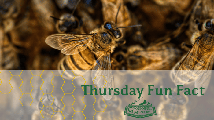 Livestock - Thursday Fun Fact 10-13