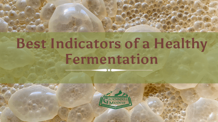 Best Indicators of a Healthy Fermentation