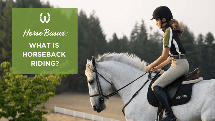 Horse Basics: What Is Horseback Riding?