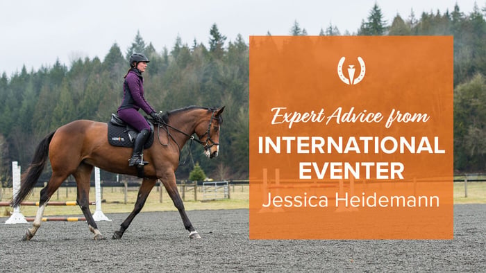 What horse riding discipline should I do?