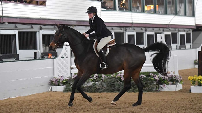 Winter Horse Show Clothing: 10 Tips for Success