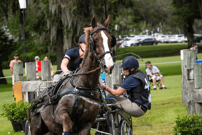 Meet Ryley Miller, FEI 3* Driver & NEW Kerrits Team Rider