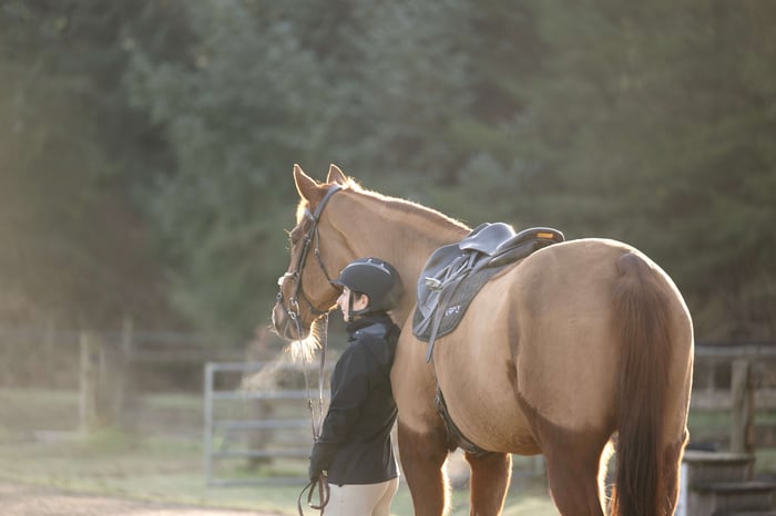 Horseback Riding Goals: Working with Your Trainer