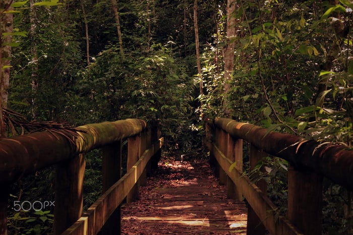 Resources for Hiking and Getting Outside in the Era of Social Distancing