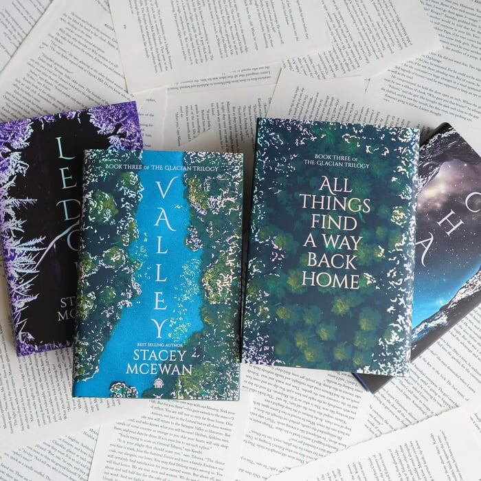 LitJoy Vault: Stacey McEwan LitJoy Editions