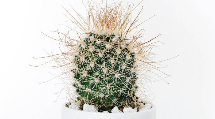 14 Expert Tips For Laser Hair Removal [Including What NOT To Do!]