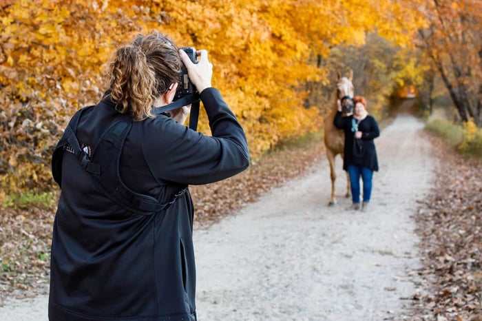 Photo Halter Equine Photography Education Blog