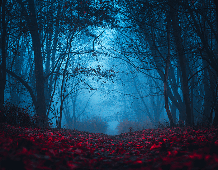 Introducing The Timex x Stranger Things Collection