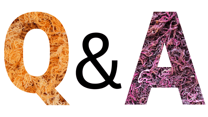 Sea Moss 101: Your Ultimate Guide to Frequently asked Questions