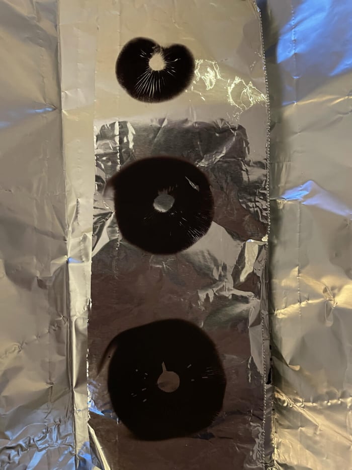 Make your own spore syringes from spore prints!
