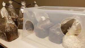 How to make a still air box