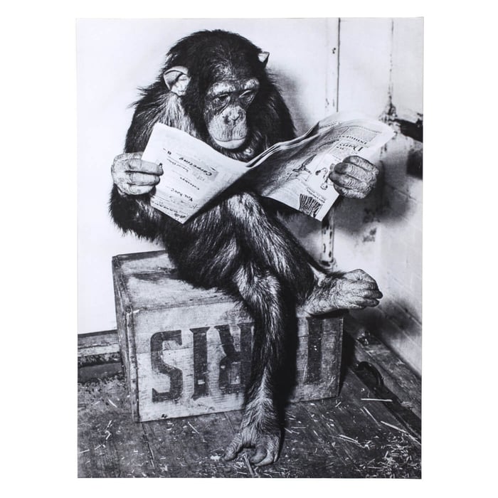 I heard someone was asking about “Orangutan-masked online traders”