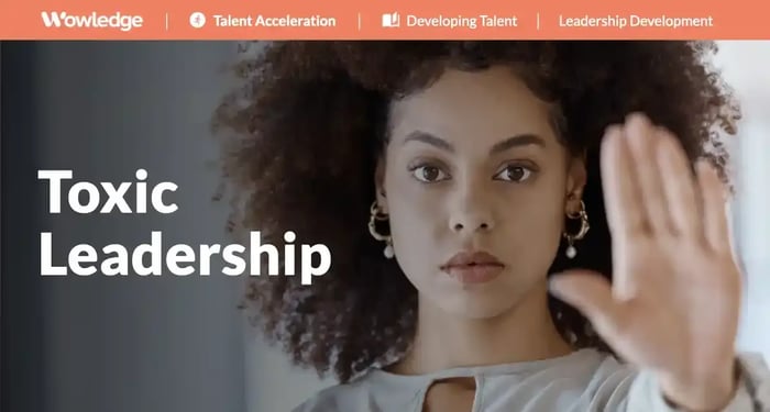 Circumventing Toxic Leadership