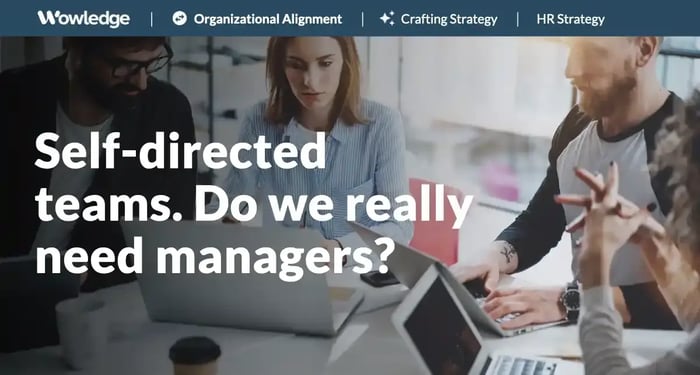 Self-directed Teams. Do We Really Need Managers?