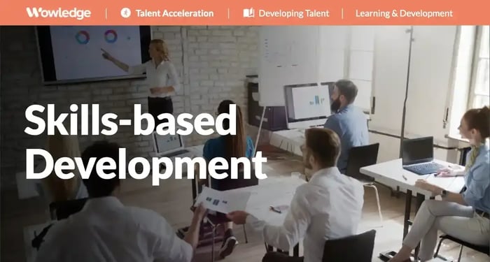 The Skills-based Development Imperative