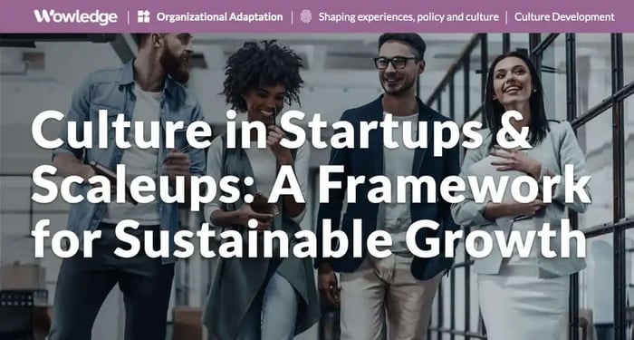 Culture in Startups and Scaleups: A Framework for Sustainable Growth