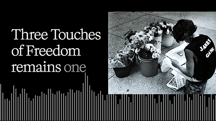 3 Touches of Freedom - The Enduring Legacy of William Wynne
