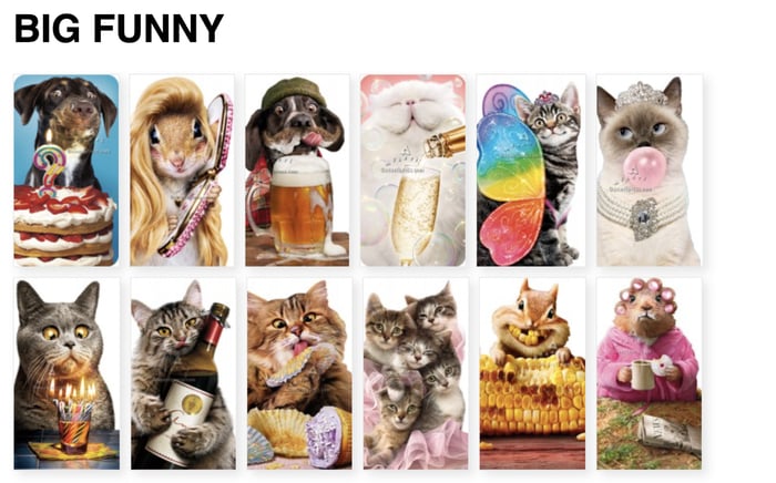 Avanti Press - A Creative Leader in Greeting Cards and Innovation