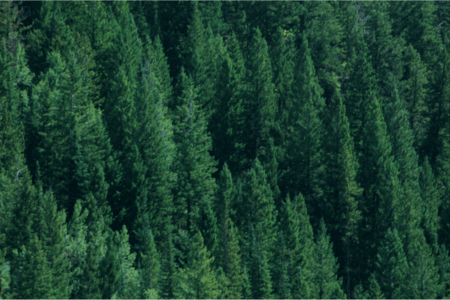 Unveiling Safety: Enhanced Hygiene and Safety Practices